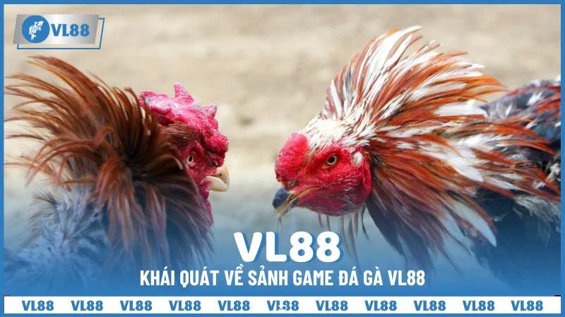 Khái quát về sảnh game đá gà VL88